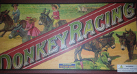 Donkey Racing