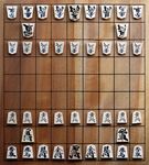 Shogi