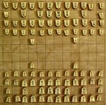 Chu Shogi
