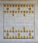 Wa Shogi